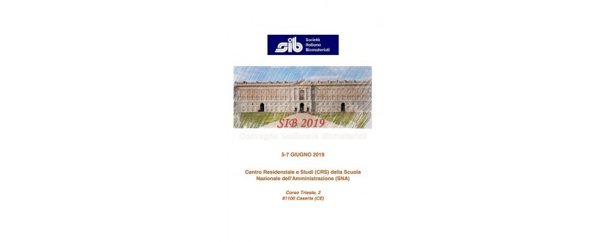 Sib 2019